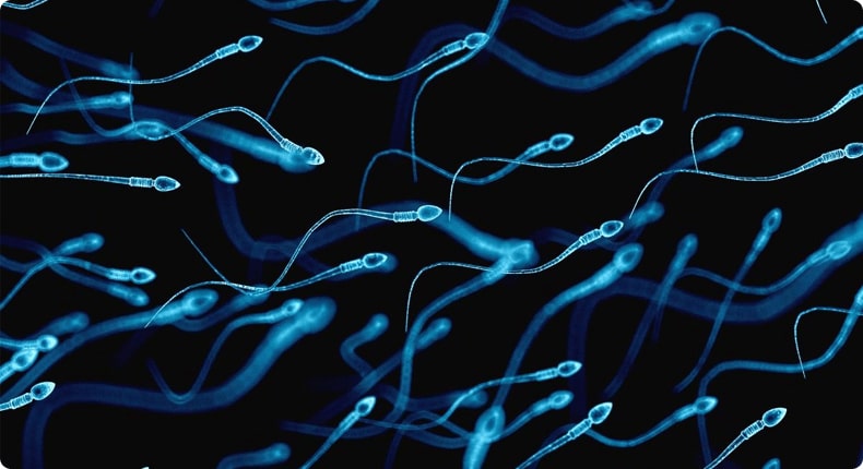 Спермограма. 6 фактів про сперму