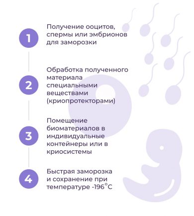 Криоконсервирование эмбрионов, яйцеклеток, спермы фото 1
