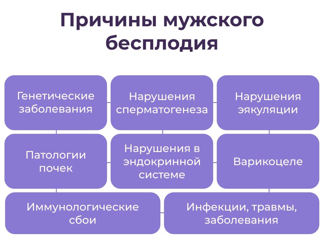 Причины мужского бесплодия