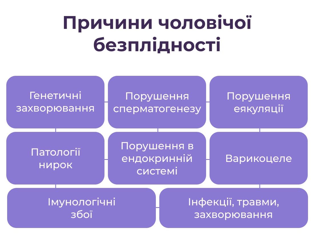 Причини мужского безпліддя
