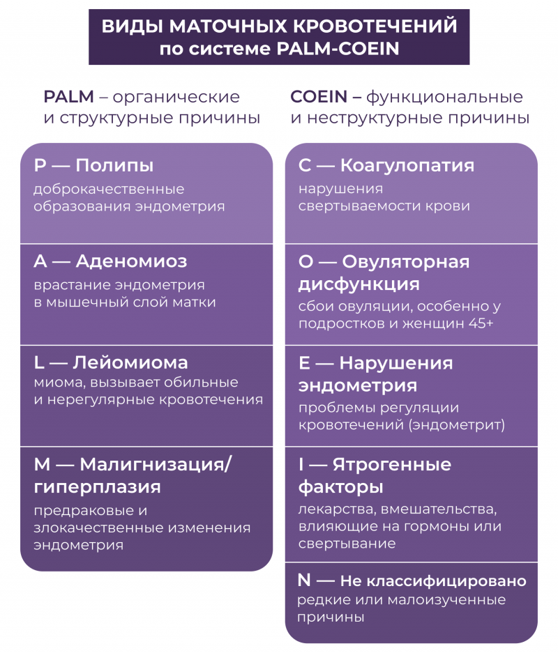 Виды маточных кровотечений