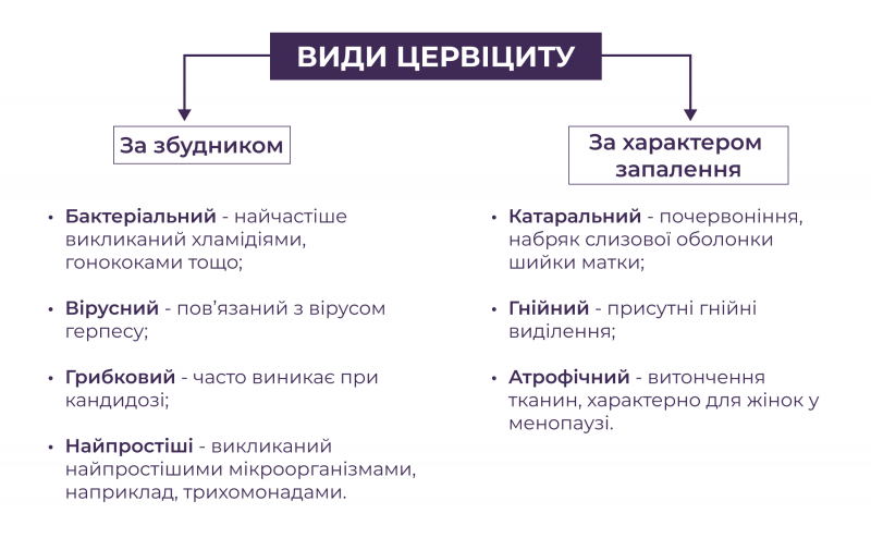 Види цервіциту