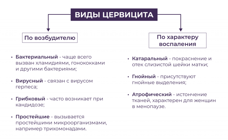 Виды цервицита